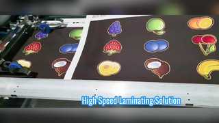 Semi-automatische pre-coating film lamineermachine met 30 m / min snelheid 920 mm maximale breedte 1800 kg gewicht